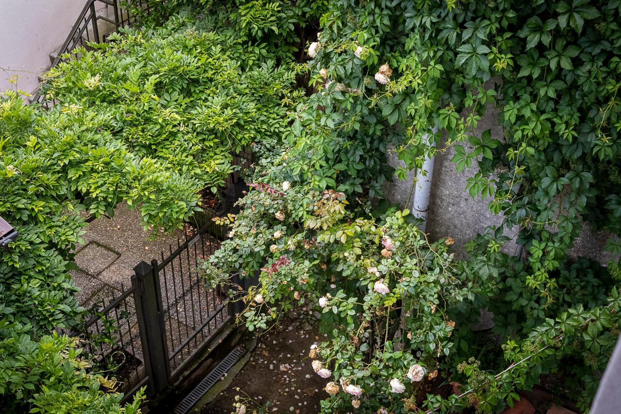 Fiordaliso Apartment كومو المظهر الخارجي الصورة